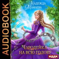 Чародейка на всю голову, audiobook Надежды Мамаевой. ISDN69169054