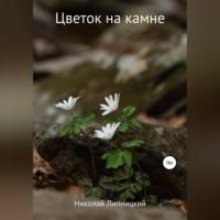 Цветок на камне - Николай Липницкий