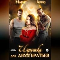 Игрушка для двух братьев, audiobook Мари Арно. ISDN69173869