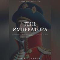 Тень Императора: Восхождение и Падение Наполеона - Андрей Журавлев