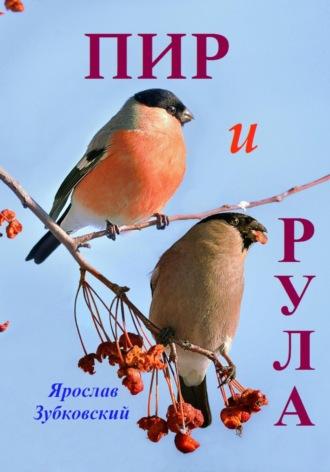 Пир и Рула, аудиокнига Ярослава Николаевича Зубковского. ISDN69180601