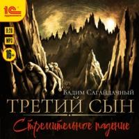 Третий сын. Стремительное падение - Вадим Сагайдачный