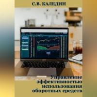 Управление эффективностью использования оборотных средств, аудиокнига Сергея Каледина. ISDN69195076