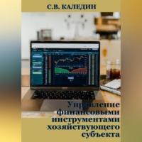 Управление финансовыми инструментами хозяйствующего субъекта - Сергей Каледин