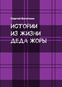 Последние каникулы детства, аудиокнига Сергея Богаткина. ISDN69205774