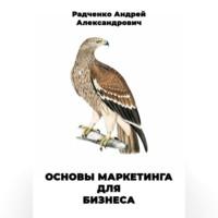 Основы маркетинга для бизнеса, аудиокнига Андрея Александровича Радченко. ISDN69228709