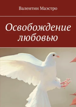 Освобождение любовью, аудиокнига Валентина Маэстро. ISDN69246652