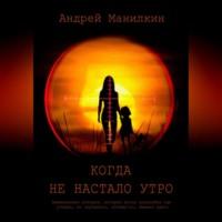 Когда не настало утро, audiobook Андрея Манилкина. ISDN69246952