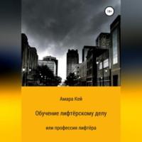 Обучение лифтёрскому делу или профессия лифтёра - Амара Кей