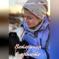 Ветеринар в приюте - Анна Епифанцева