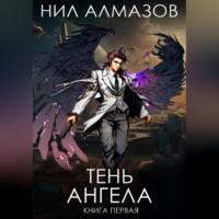 Тень ангела. Книга 1, аудиокнига Нила Алмазова. ISDN69251797