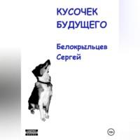 Кусочек будущего, audiobook Сергея Валерьевича Белокрыльцева. ISDN69252187