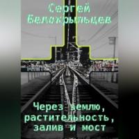 Через землю, растительность, залив и мост, аудиокнига Сергея Валерьевича Белокрыльцева. ISDN69252709