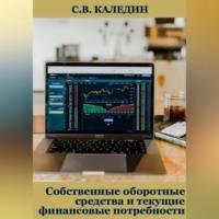 Собственные оборотные средства и текущие финансовые потребности, аудиокнига Сергея Каледина. ISDN69253492