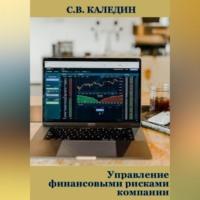 Управление финансовыми рисками компании - Сергей Каледин