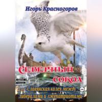 Cеверный сокол. Славянская колея между либералами и лжепатриотами, audiobook Игоря Валентиновича Красногорова. ISDN69254128