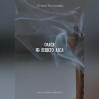 Олеся из Вещего леса, audiobook Олеси Николаевны Коломеец. ISDN69254395