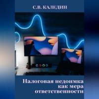 Налоговая недоимка как мера ответственности, audiobook Сергея Каледина. ISDN69259798
