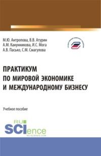 Практикум по мировой экономике и международному бизнесу. (Бакалавриат). Учебное пособие. - Самал Смагулова