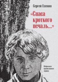 «Спаса кроткого печаль…» Избранная православная лирика, аудиокнига Сергея Есенина. ISDN69275797