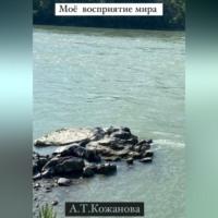 Моё восприятие мира, audiobook Айгуль Табылдовны Кожановой. ISDN69332209