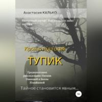 Кронштадтский тупик, аудиокнига Анастасии Александровны Калько. ISDN69333628