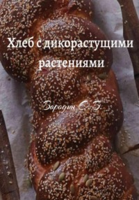 Хлеб с дикорастущими растениями, аудиокнига Евгения Владимировича Бородина. ISDN69360088