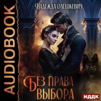 Без права выбора, audiobook Надежды Олешкевич. ISDN69362074