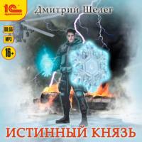 Истинный князь, audiobook Дмитрия Витальевича Шелега. ISDN69403555