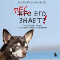 Пес его знает! Что в голове у собаки и как понять причины ее поведения, książka audio Александры Александровой. ISDN69403657