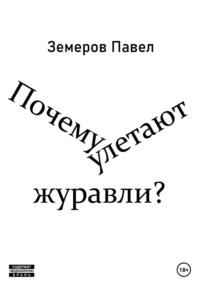 Почему улетают журавли - Павел Земеров