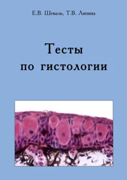 Тесты по гистологии. Учебно-методическое пособие - Евгений Шеваль