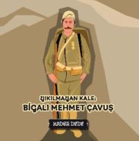 Çanakkale Kahramanlarının Hikâyeleri - Yıkılmayan Kale: Bigalı Mehmet Çavuş,  аудиокнига. ISDN69429424