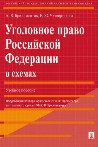 Уголовное право Российской Федерации в схемах - Александр Бриллиантов