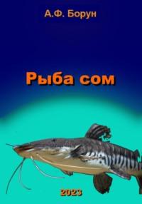 Рыба сом - Александр Борун