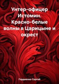 Унтер-офицер Истомин. Красно-белые волны в Царицыне и окрест, аудиокнига Сергея Гордиенко. ISDN69487828