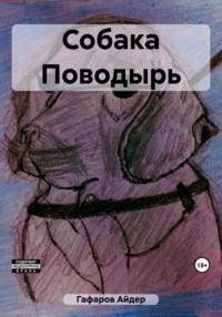 Собака Поводырь, audiobook Айдера Гафарова. ISDN69497224