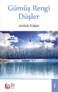 Gümüş Rengi Düşler - Aynur Turan