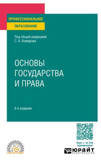 Основы государства и права 6-е изд., пер. и доп. Учебное пособие для СПО - Андрей Кочетков