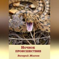 Ночное происшествие - Валерий Жиглов