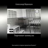 Тюремные каникулы, аудиокнига Александра Воронцова. ISDN69515446