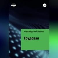 Трудовая, audiobook Александра Анатольевича Майстренко. ISDN69517390