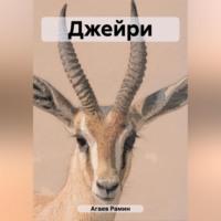 Джейри - Рамин Агаев