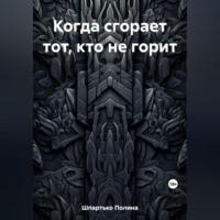 Когда сгорает тот, кто не горит, аудиокнига Полины Викторовны Шпартько. ISDN69518056