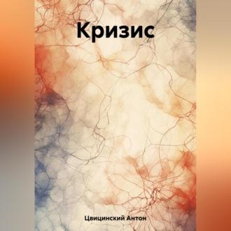 Кризис, książka audio Антона Цвицинского. ISDN69518356