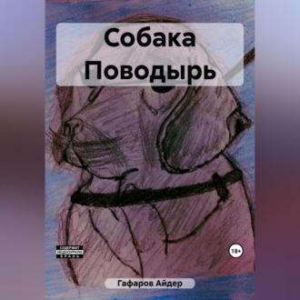 Собака Поводырь, audiobook Айдера Гафарова. ISDN69525319