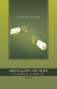 Двенадцать месяцев. От февраля до февраля. Том 2, audiobook Владимира Жесткова. ISDN69526759