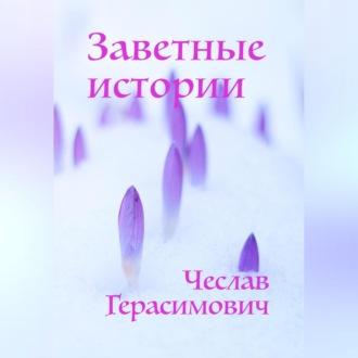 Заветные истории, audiobook Чеслава Эдуардовича Герасимовича. ISDN69540610