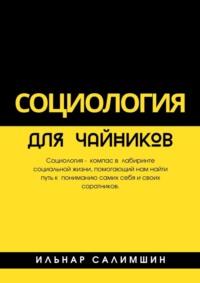 Социология для чайников - Ильнар Салимшин