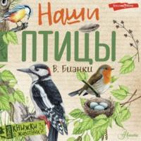 Наши птицы - Виталий Бианки